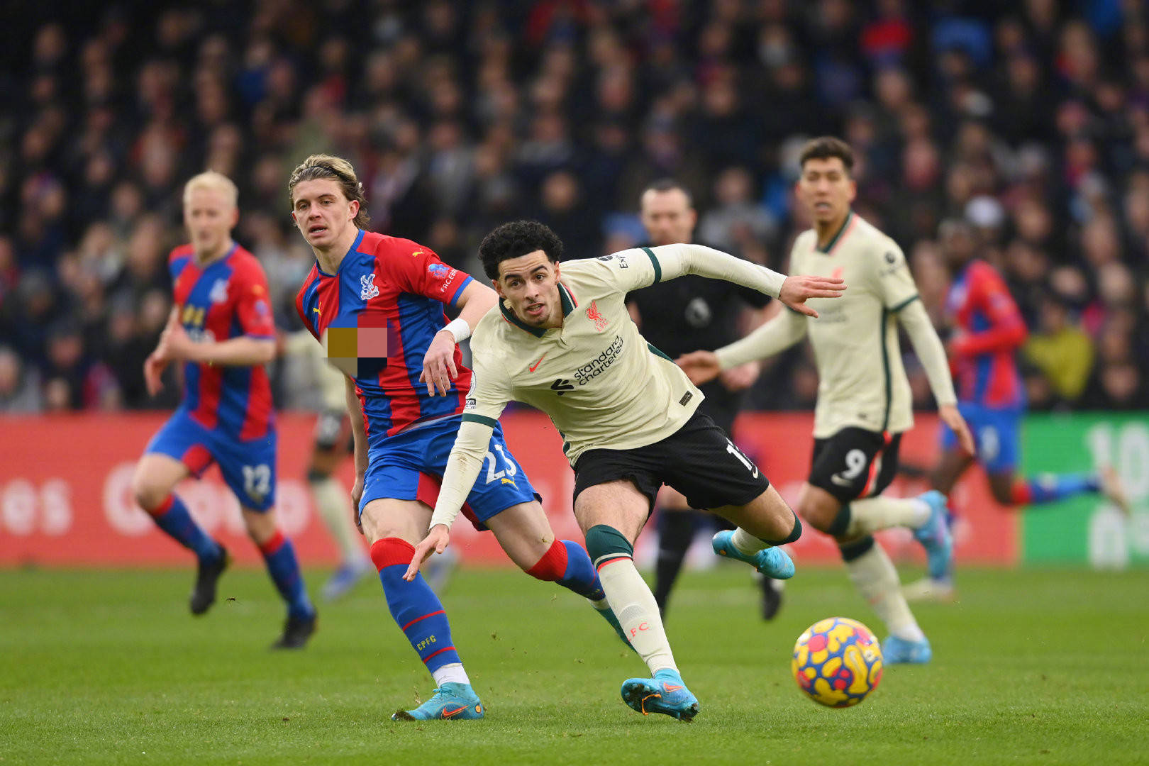 虽然天赋不 虽然天赋不