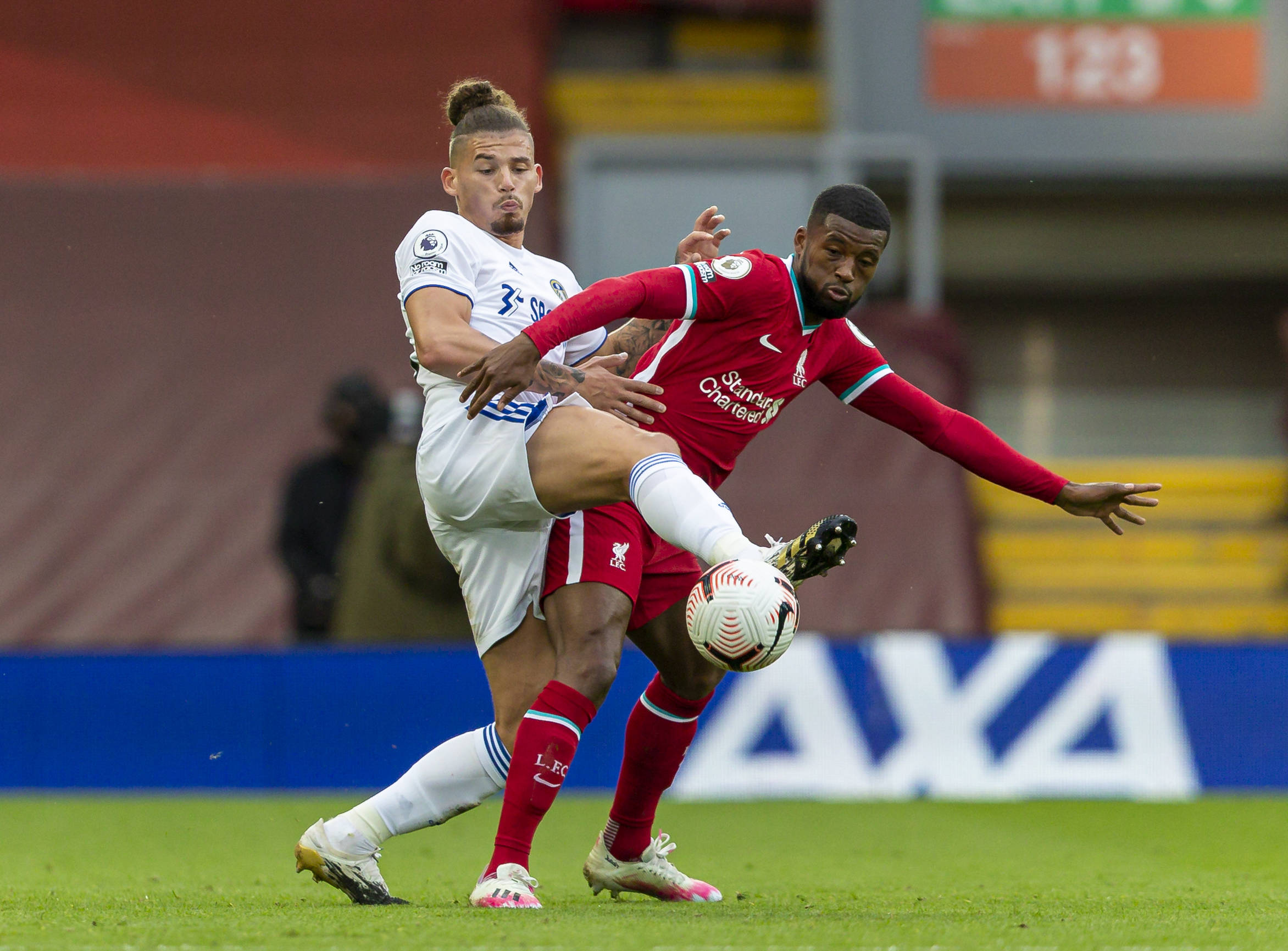 牙的社会生 牙的社会生